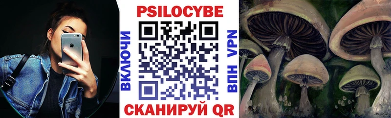 Купить закладки  Видное  Галлюциногенные грибы мицелий 